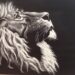 lion of the tribe of Judah