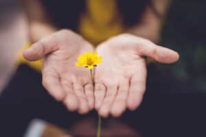 hands with a yellow flower