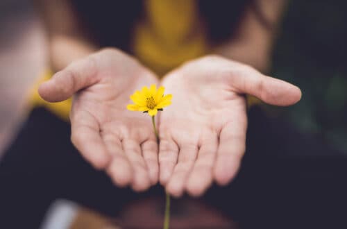 hands with a yellow flower