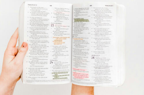 hands holding a bible