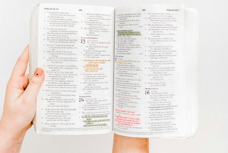 hands holding a bible